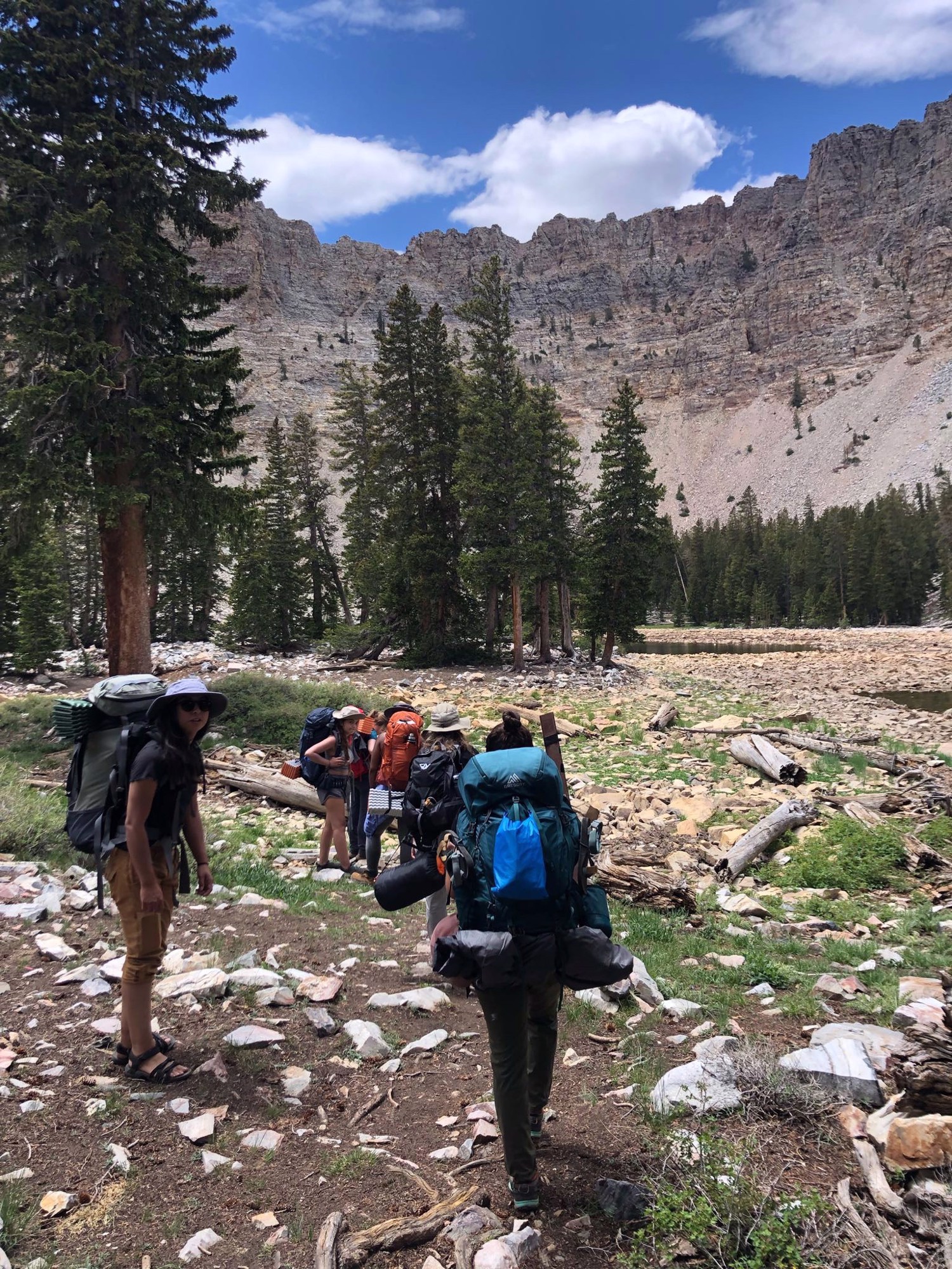 Backpackers travel through a pine forest beneath a rocky mountain ridge.