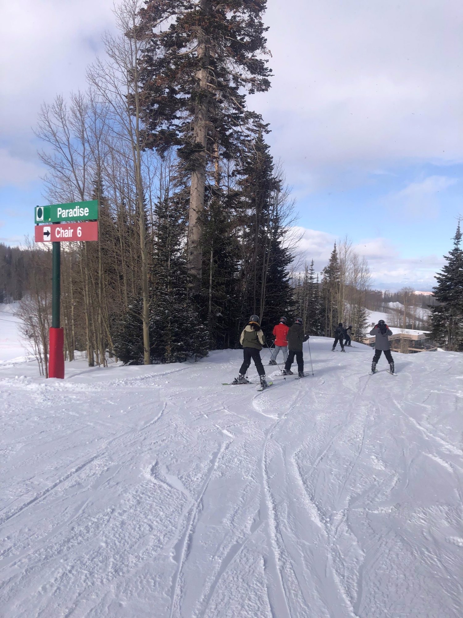 Snowboarders travel down a snowy trail between tall evergreen trees.