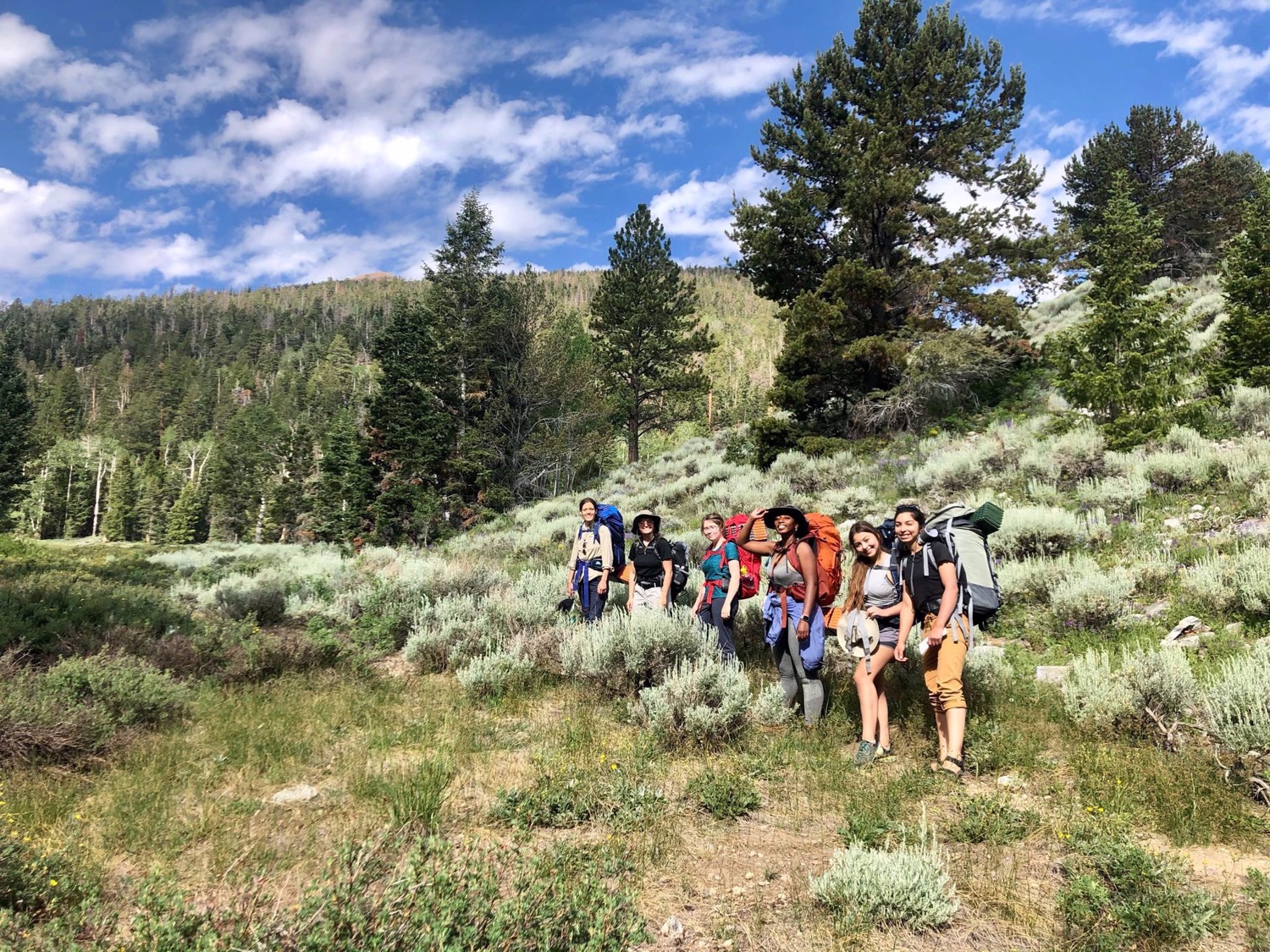 A group of backpackers pose together on a green mountain trail.
