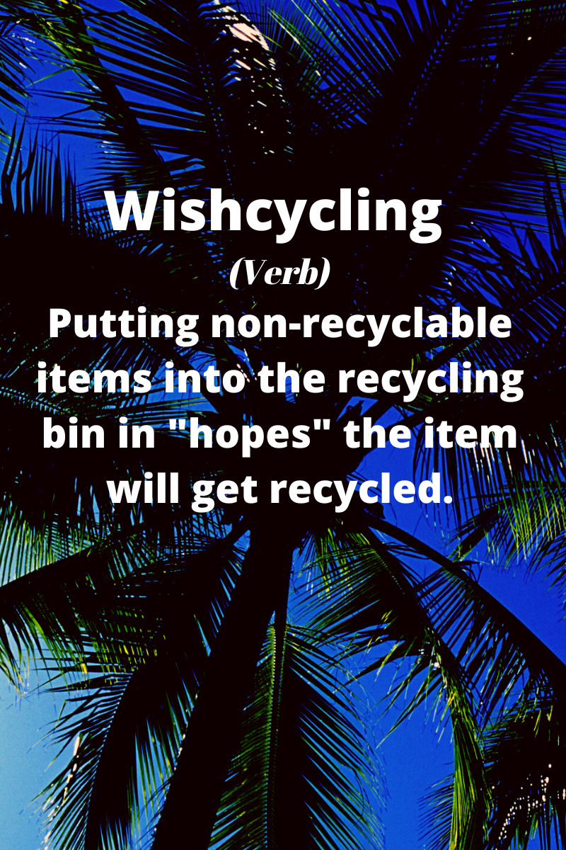 Text says: Wishcycling (verb) Putting non-recyclable items into the recycling bin in "hopes" the item will get recycled. Photo background: top of palm tree against a blue sky.