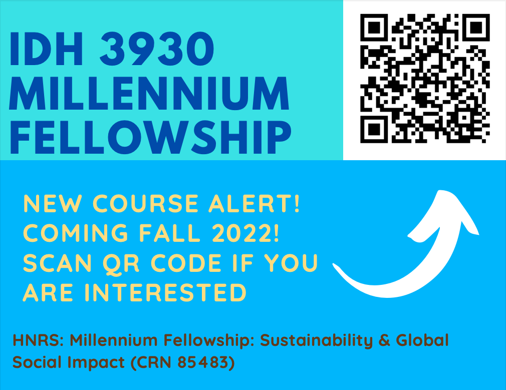 IDH 3930: Millennium Fellowship Flyer