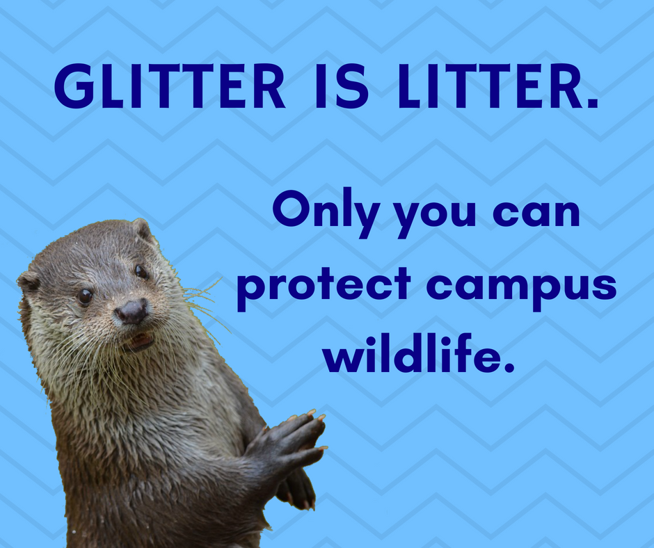 Glitter is Litter